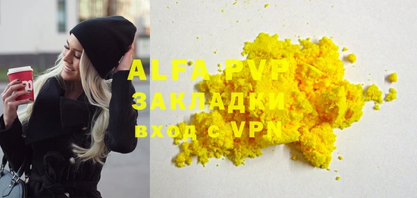 хмурый Арсеньев