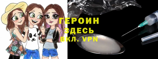 хмурый Арсеньев