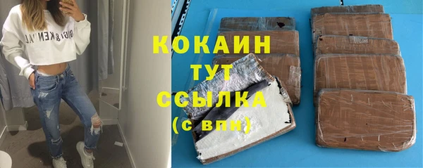 хмурый Арсеньев