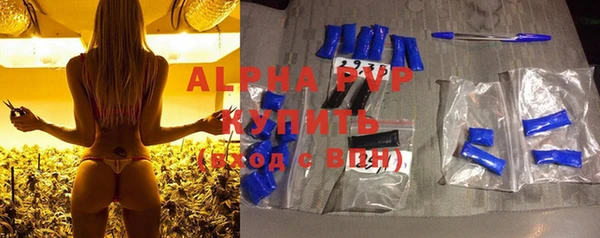 хмурый Арсеньев