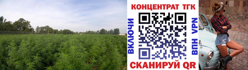 ТГК Wax  Байкальск 