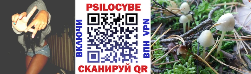 где можно купить   Байкальск  Псилоцибиновые грибы ЛСД 